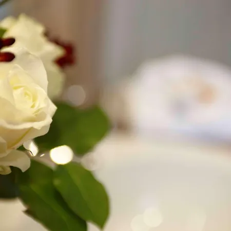 By Golden Tulip 4*