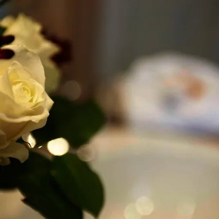 By Golden Tulip 3* Κίελο